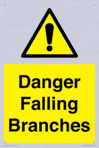 Danger Falling Branches